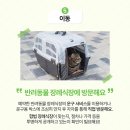 반려동물화장터 고양이화분장 추억을 심는 메모리얼트리