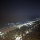 강릉솔향택시협동조합 | 두민이와 듀호의 2박3일 겨울 강릉여행