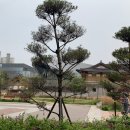 일산 1인미용실, 일산 가로수길미용실 위드해수살롱 좋아요!