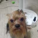 도장중학교 이미지