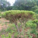 덕솔이네 이미지