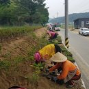 내곡3리 이미지