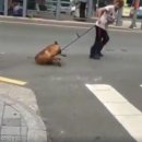 구포시장2 이미지