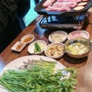 청도미나리뜯는돼지