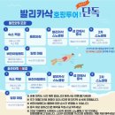 보홀스케치