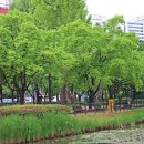 용산가족공원 Daum카페