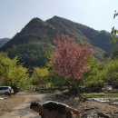 산골초가집 이미지