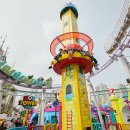 밸런스독B 이미지