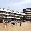 서울강남초등학교 이미지