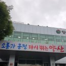 양산시청 제2청사 이미지