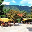 산야초 자연 캠핑장 이미지