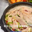 부산 1등 돼지국밥? 2시간 기다려서 먹은 솔직후기 40년 노포