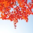 백양 관광호텔 이미지