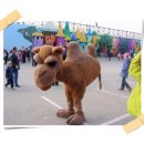 명*안* 이미지