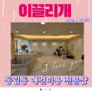 이끌리개 이미지