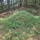 강산인력개발 - 종로구 돈화문로 38 | 강산인력개발