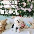 코코앤잭슨 이미지