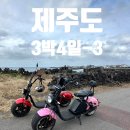 썬라이즈호텔 섭지코지점 | 제주도 3박4일 커플 여행 코스 총 정리_3일차(우도/코코나라/우도샌드/갈치왕/썬라이즈호텔)