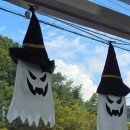 야은로-11 이미지