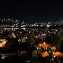 낙동강변16 이미지