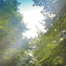 WG 스포츠파크 고성9홀 이미지