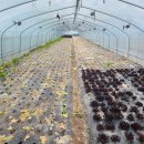 한동농장 이미지