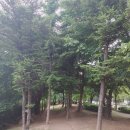지안헤어스튜디오