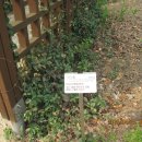 다사초등학교병설 이미지