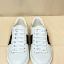 에이스 캣 이미지