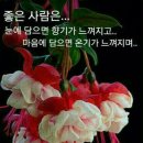 좋은만남 - 금천구 | 좋은만남