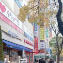 프라임플레이존