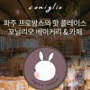 꼬닐리오 뉴스웍스