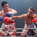 김정훈챠밍복싱센터 소사벌점 이미지