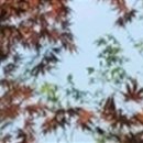 와인치과의원 이미지