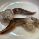 정진목장 이미지