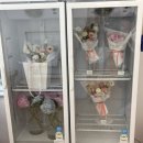 솔산스토어