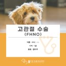 검단이담동물의료센터 이미지
