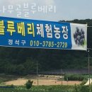 밤나무골 농장 이미지