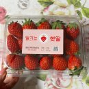 루다게스트하우스 | 이러고 살아요