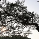 인천대공원(정문) 이미지