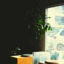 자연치과의원 이미지