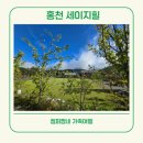 힐 스프링 | 홍천 세이지힐 잔디광장 실내놀이터 키즈카페 강원도 뷰 좋은 키즈 캠핑장 추천