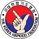 도약합기도 이미지