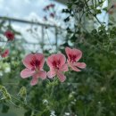 문암가든 이미지