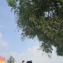 니나강짐 구디점 이미지