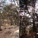 팔공산올레길 7코스 이미지