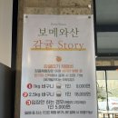 남산농장 | [제주 놀거리] ‘보메와산 감귤체험농장’ 내돈내산 후기 - 귤 따는 동안 무제한 시식 가능