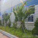 정우엔텍 이미지