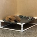 서울여자중학교 | Adsp 비전공자 6일 벼락치기 후기