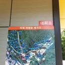 비채야영장 네이버블로그